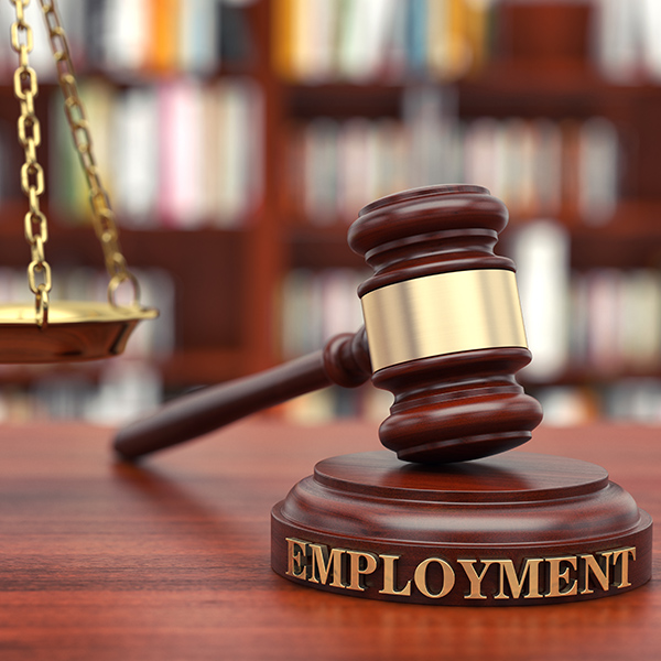 Employment Law